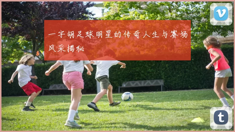一字胡足球明星的传奇人生与赛场风采揭秘