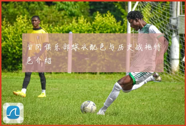 甘冈俱乐部球衣配色与历史战袍特色介绍