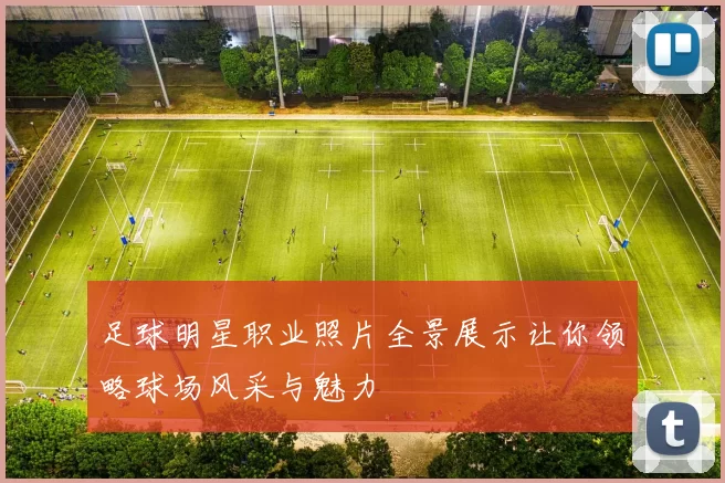 足球明星职业照片全景展示让你领略球场风采与魅力