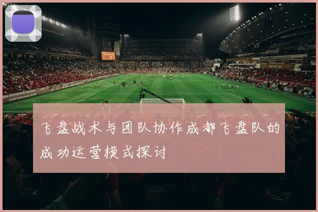 飞盘战术与团队协作成都飞盘队的成功运营模式探讨
