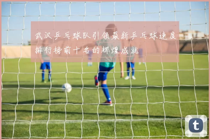 武汉乒乓球队引领最新乒乓球速度排行榜前十名的辉煌成就