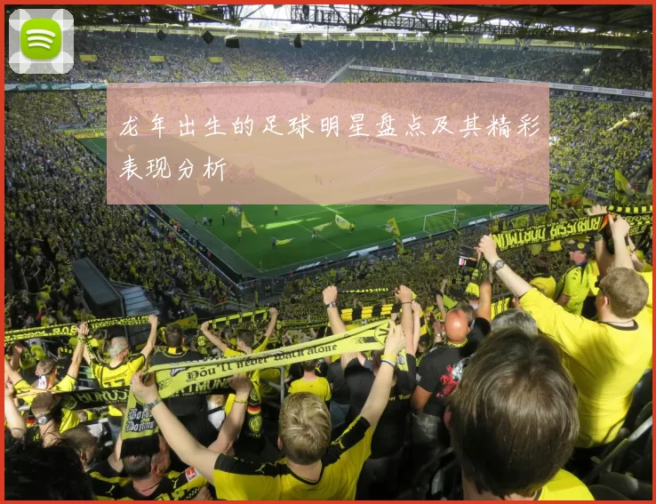 龙年出生的足球明星盘点及其精彩表现分析