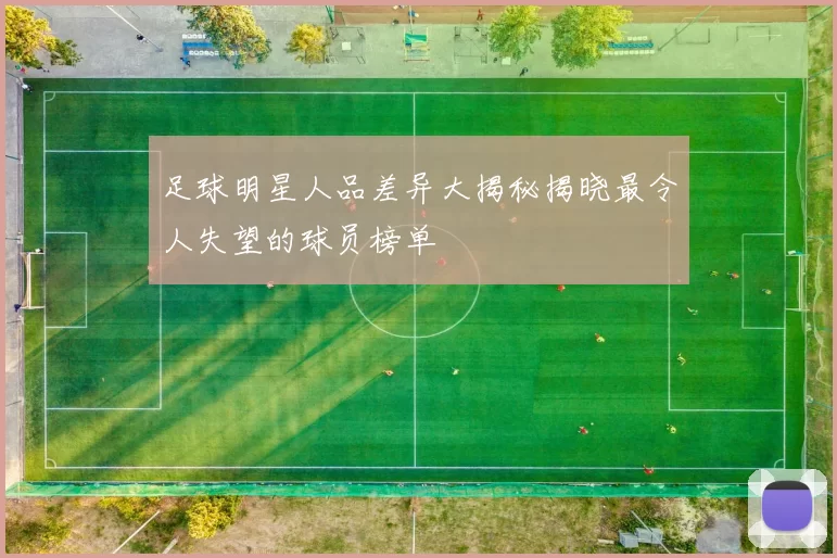 足球明星人品差异大揭秘揭晓最令人失望的球员榜单