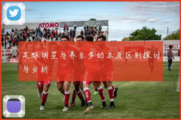 足球明星与养乐多的本质区别探讨与分析