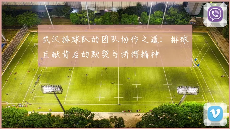 武汉排球队的团队协作之道：排球巨献背后的默契与拼搏精神