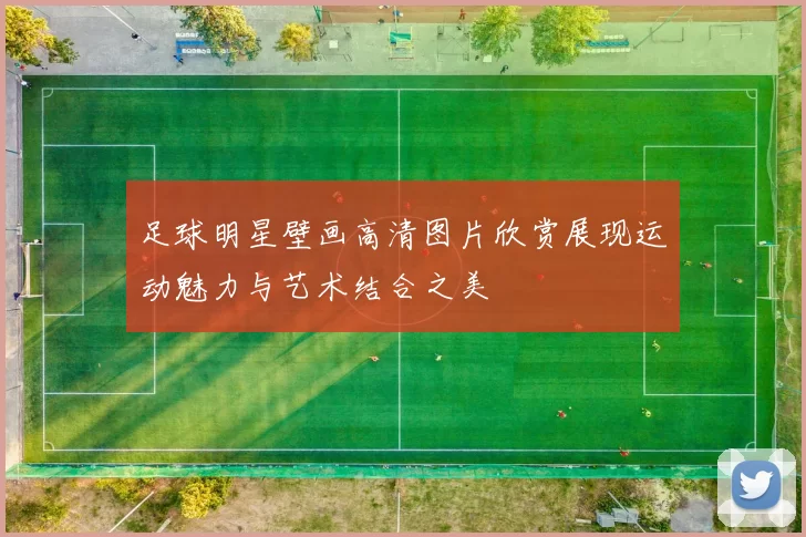 足球明星壁画高清图片欣赏展现运动魅力与艺术结合之美