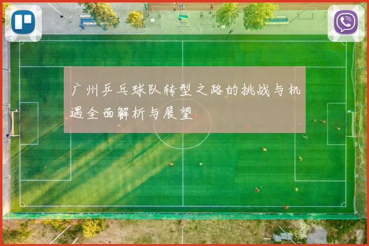 广州乒乓球队转型之路的挑战与机遇全面解析与展望