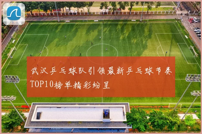 武汉乒乓球队引领最新乒乓球节奏TOP10榜单精彩纷呈