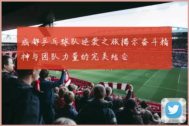 成都乒乓球队逆袭之旅揭示奋斗精神与团队力量的完美结合