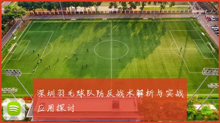 深圳羽毛球队防反战术解析与实战应用探讨