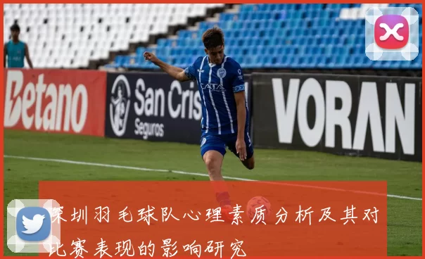 深圳羽毛球队心理素质分析及其对比赛表现的影响研究