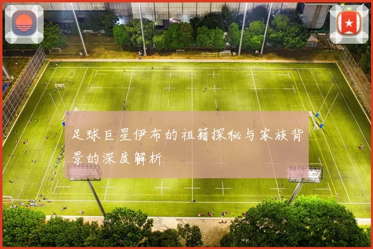 足球巨星伊布的祖籍探秘与家族背景的深度解析