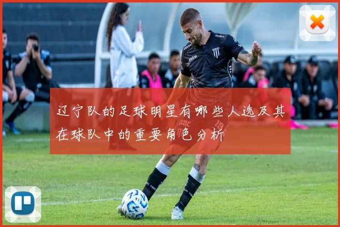 辽宁队的足球明星有哪些人选及其在球队中的重要角色分析