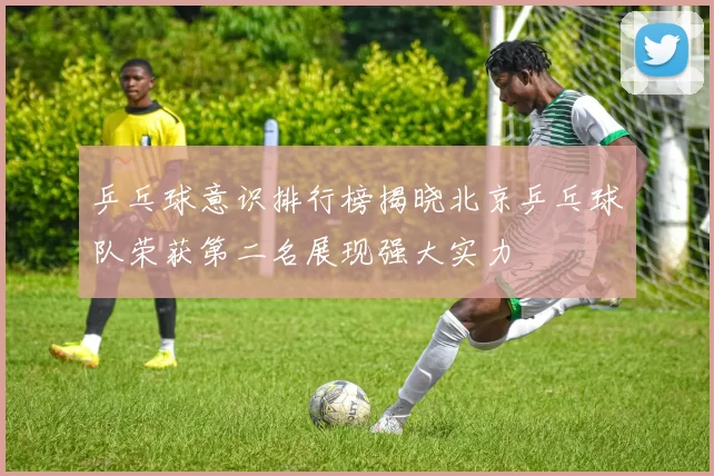 乒乓球意识排行榜揭晓北京乒乓球队荣获第二名展现强大实力
