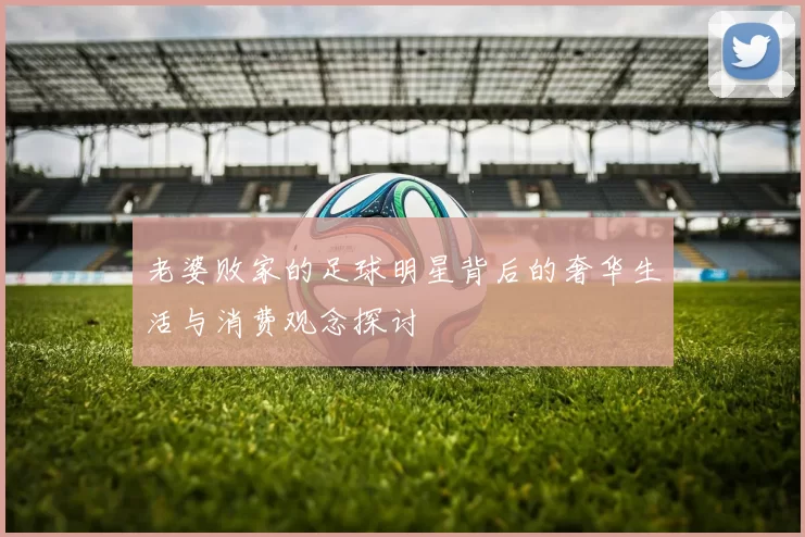 老婆败家的足球明星背后的奢华生活与消费观念探讨