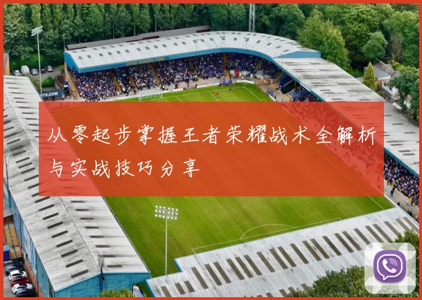 从零起步掌握王者荣耀战术全解析与实战技巧分享
