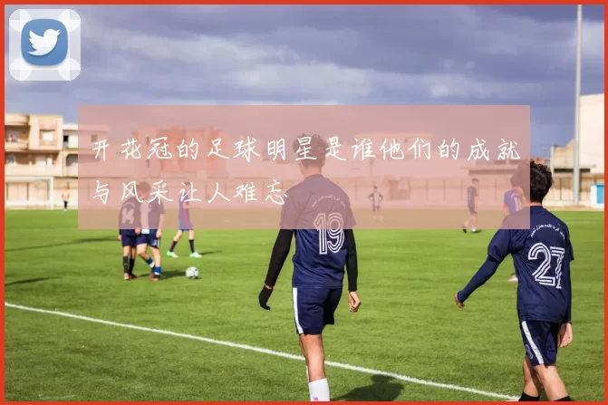 开花冠的足球明星是谁他们的成就与风采让人难忘