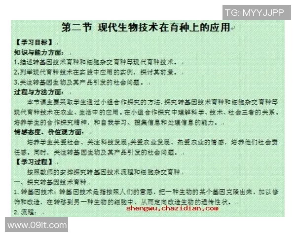 基于规则导向的思维模式与行为准则在现代社会中的应用与影响分析