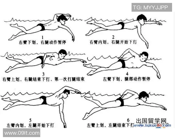 提高游泳效率的五大技巧掌握方法与训练技巧分享